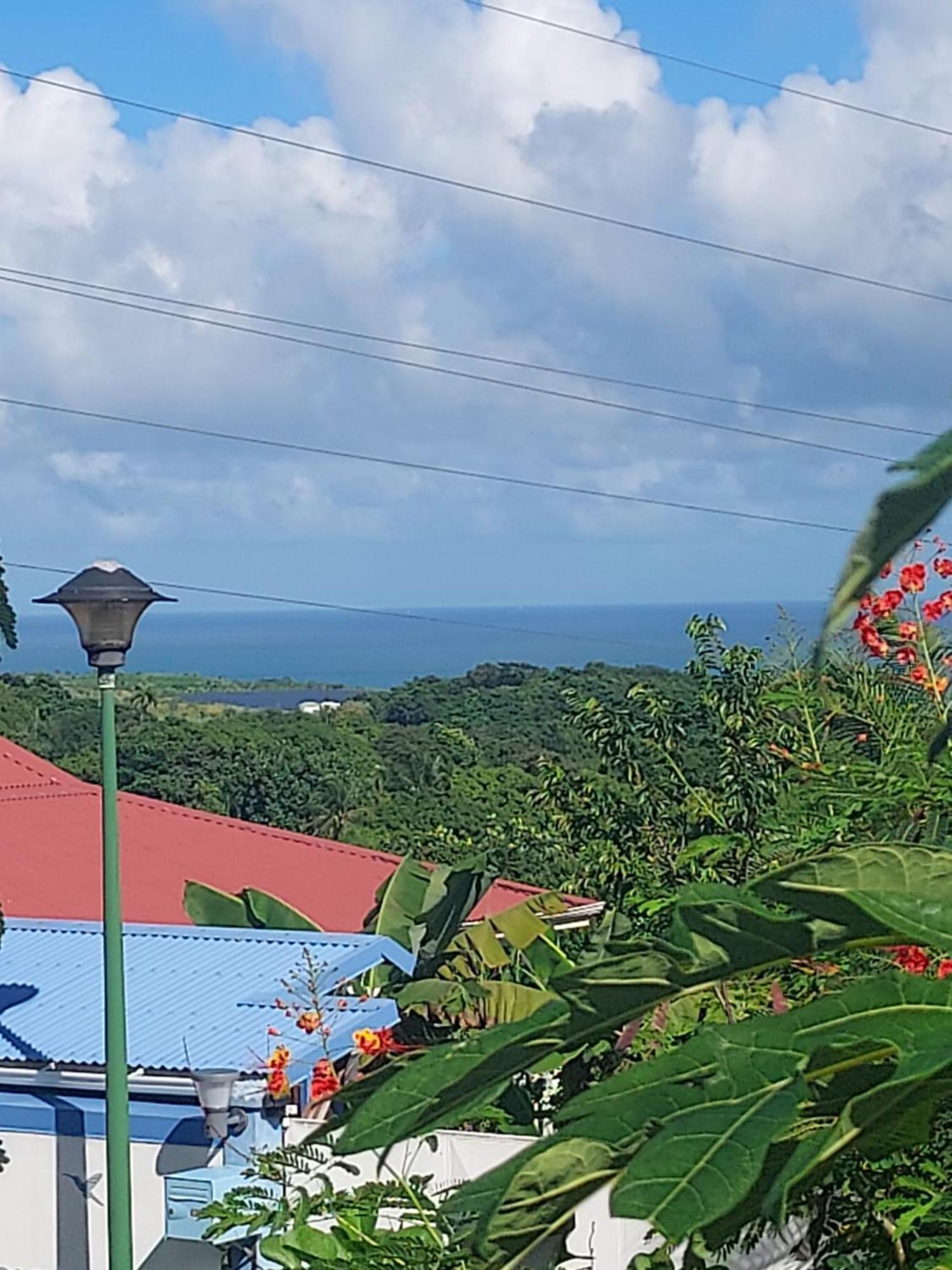 Le Petit Paradis Sainte-Rose Eksteriør bilde